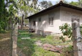 House for Sale Udugampola
