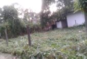 Residential Land for Sale in Pasyala