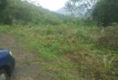 Land for Sale Nuwara Eliya