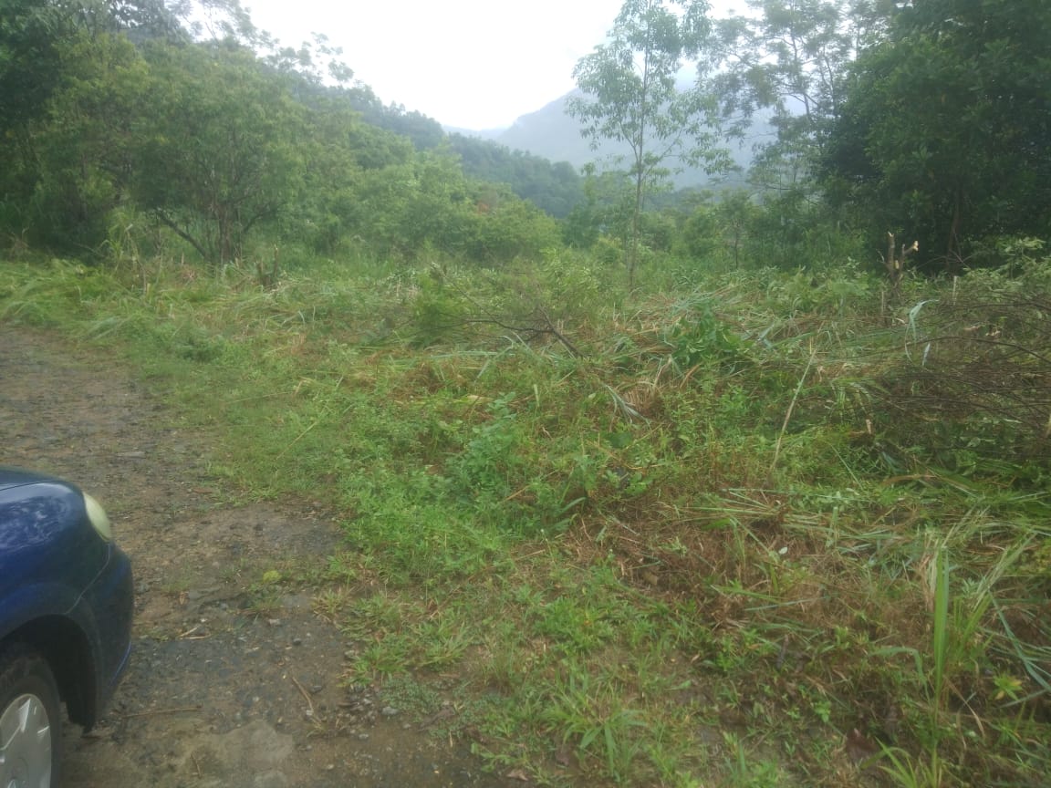 Land for Sale Nuwara Eliya