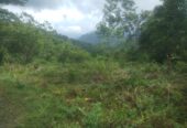 Land for Sale Nuwara Eliya