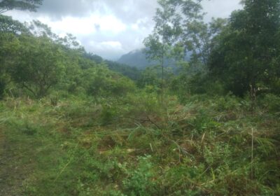 Land for Sale Nuwara Eliya