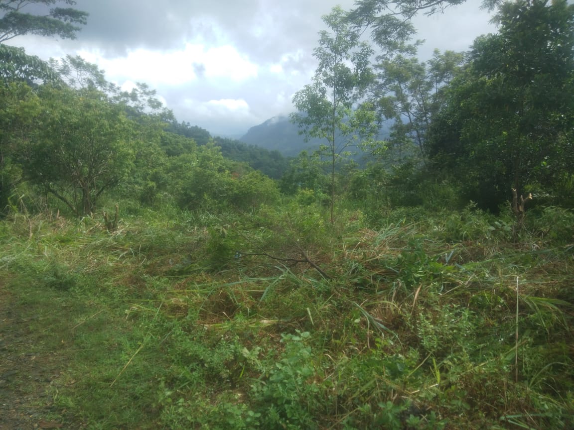 Land for Sale Nuwara Eliya