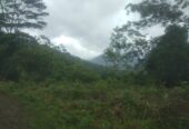 Land for Sale Nuwara Eliya