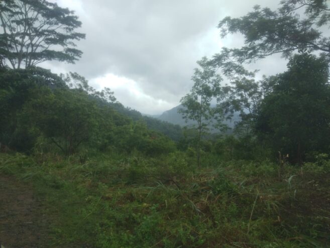Land for Sale Nuwara Eliya