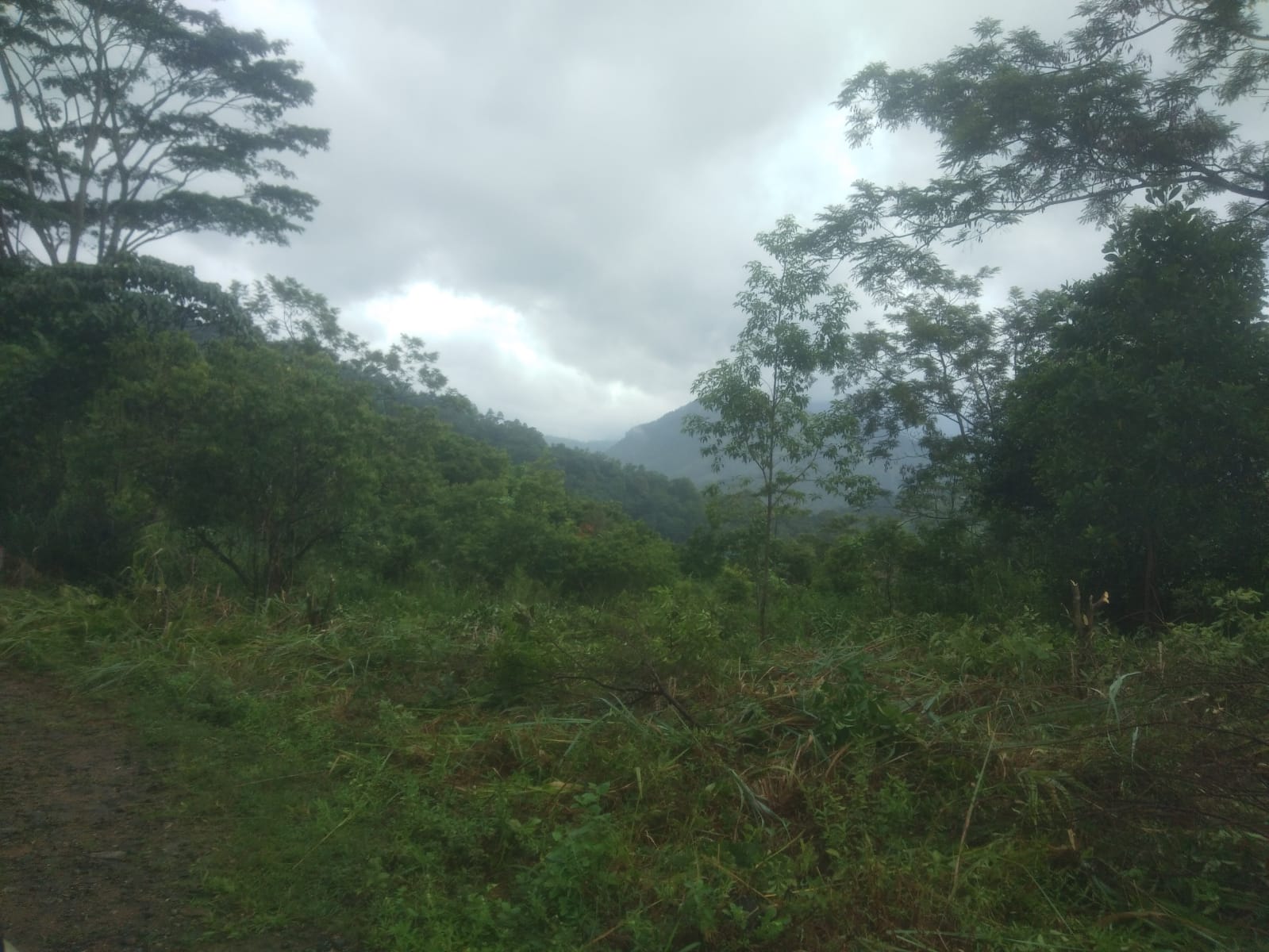 Land for Sale Nuwara Eliya