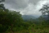 Land for Sale Nuwara Eliya