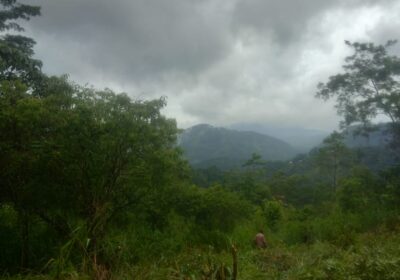 Land for Sale Nuwara Eliya