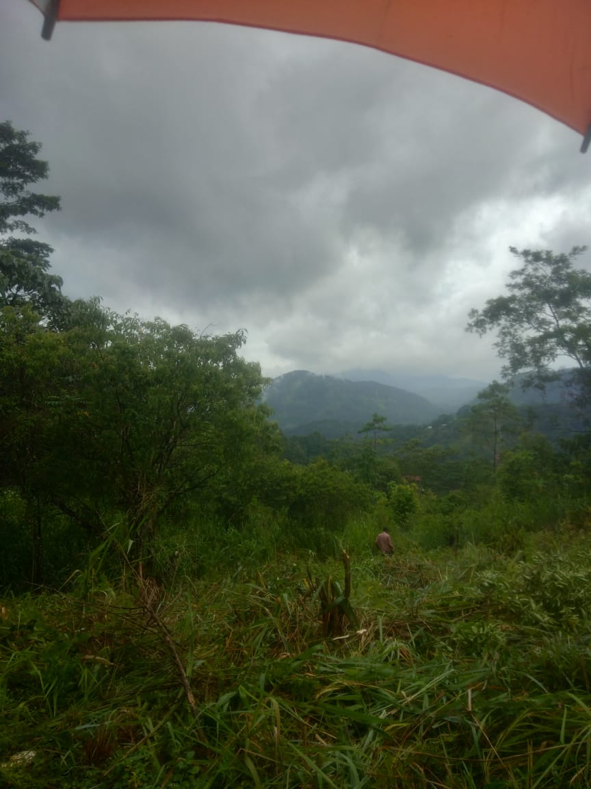 Land for Sale Nuwara Eliya