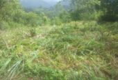Land for Sale Nuwara Eliya