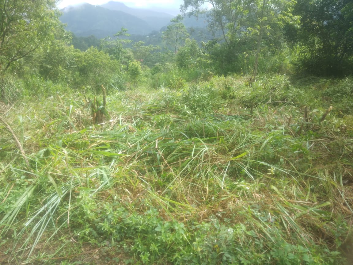 Land for Sale Nuwara Eliya