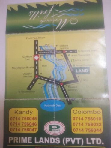Land for Sale Nuwara Eliya