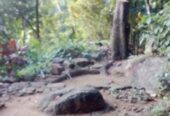 Land for Sale Bulathkohupitiya