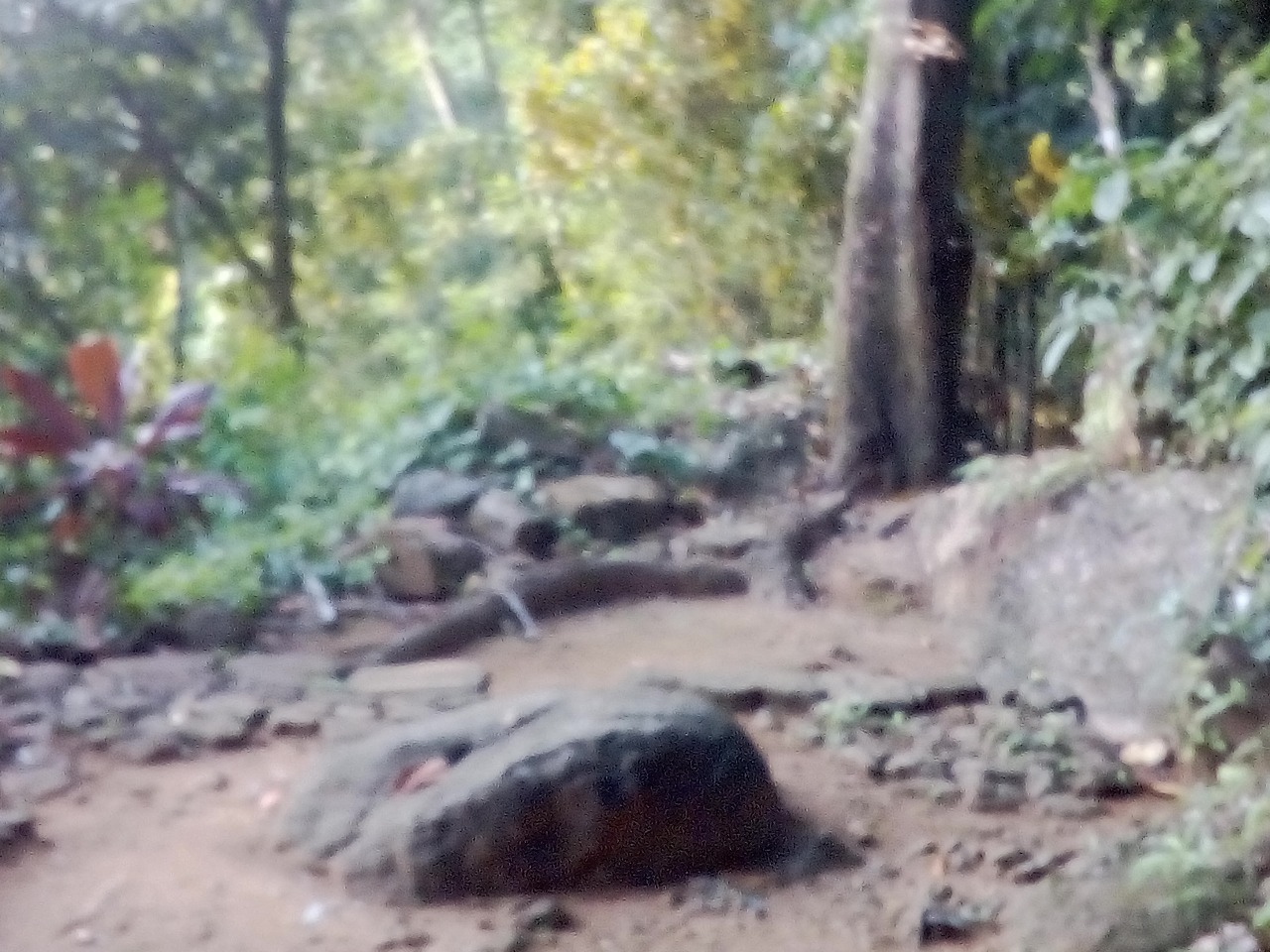 Land for Sale Bulathkohupitiya