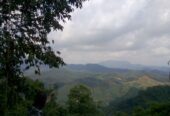 Land for Sale Bulathkohupitiya