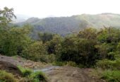 Land for Sale Bulathkohupitiya