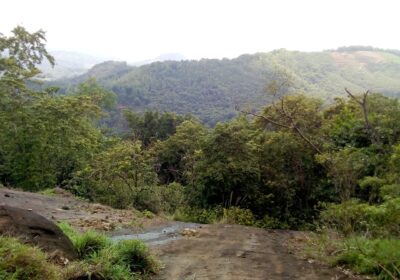 Land for Sale Bulathkohupitiya