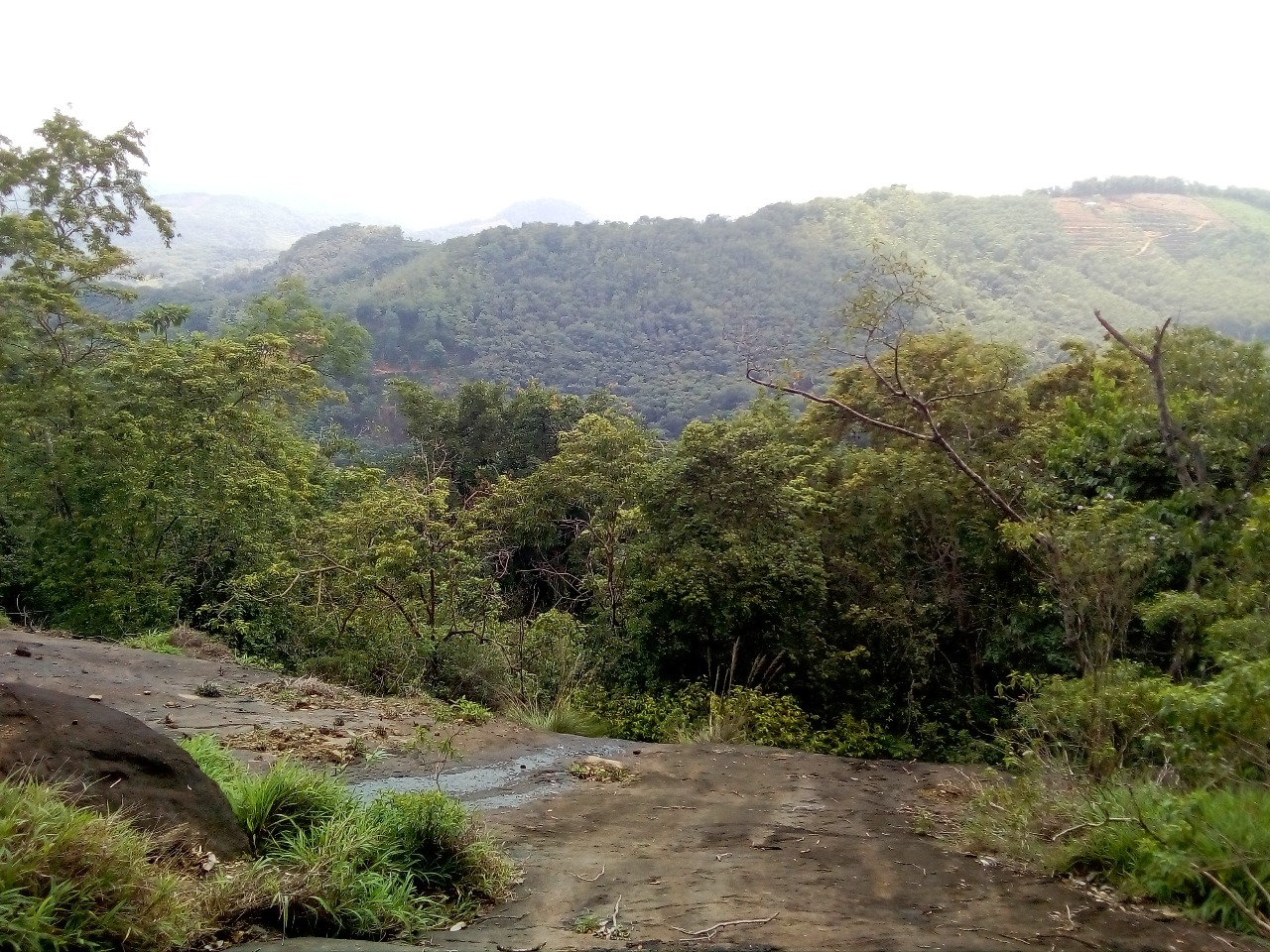 Land for Sale Bulathkohupitiya