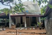 Two Houses for Sale Anuradhapura