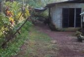 Land for Sale in Weliveriya Henagama