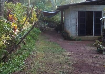 Land for Sale in Weliveriya Henagama