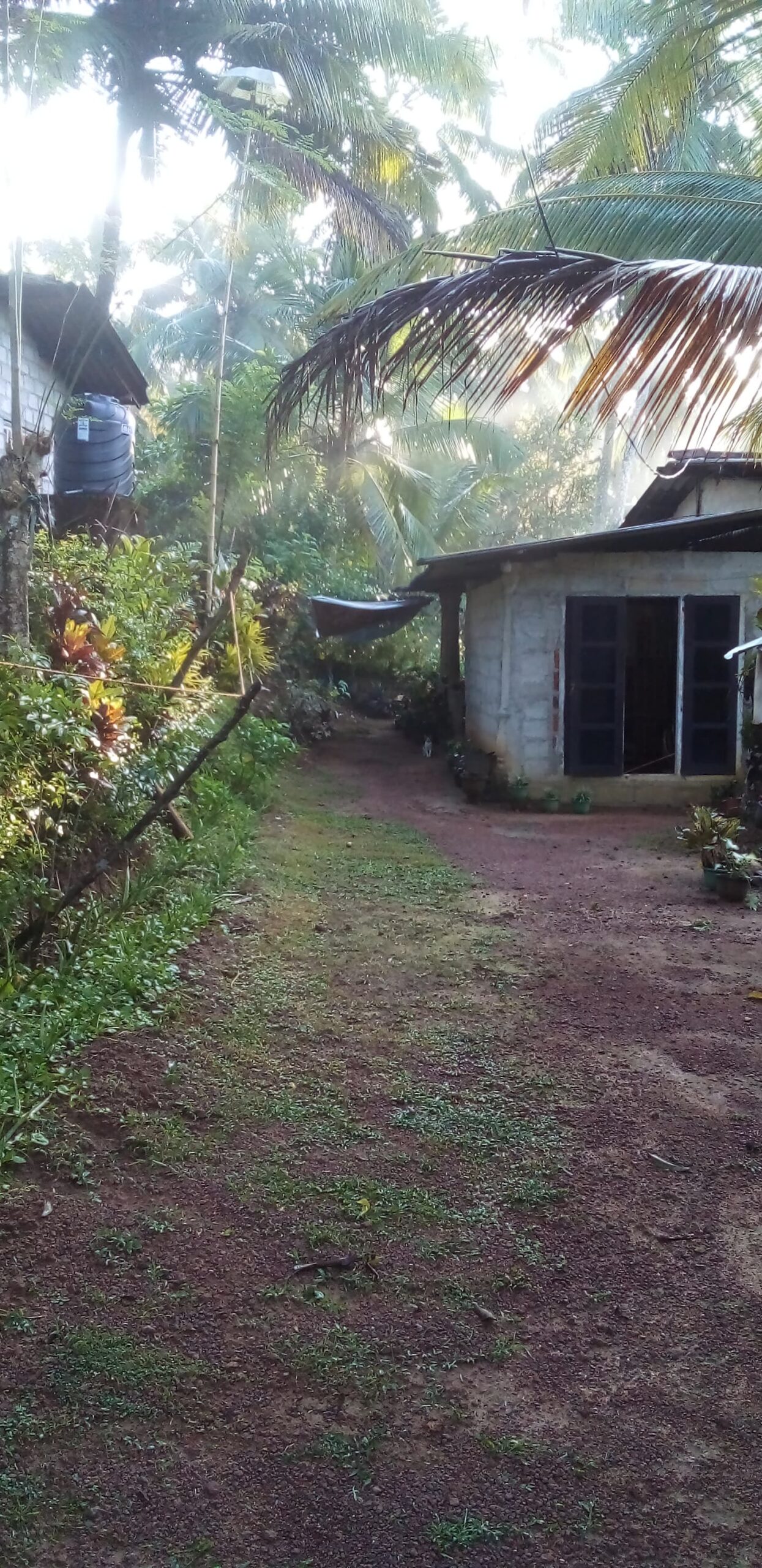 Land for Sale in Weliveriya Henagama