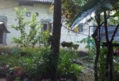 Land for Sale in Weliveriya Henagama