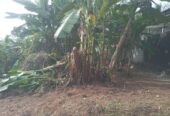 Valuable Land for Sale in Gonapola