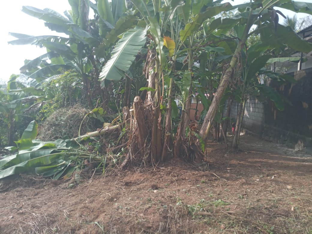 Valuable Land for Sale in Gonapola