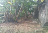 Valuable Land for Sale in Gonapola