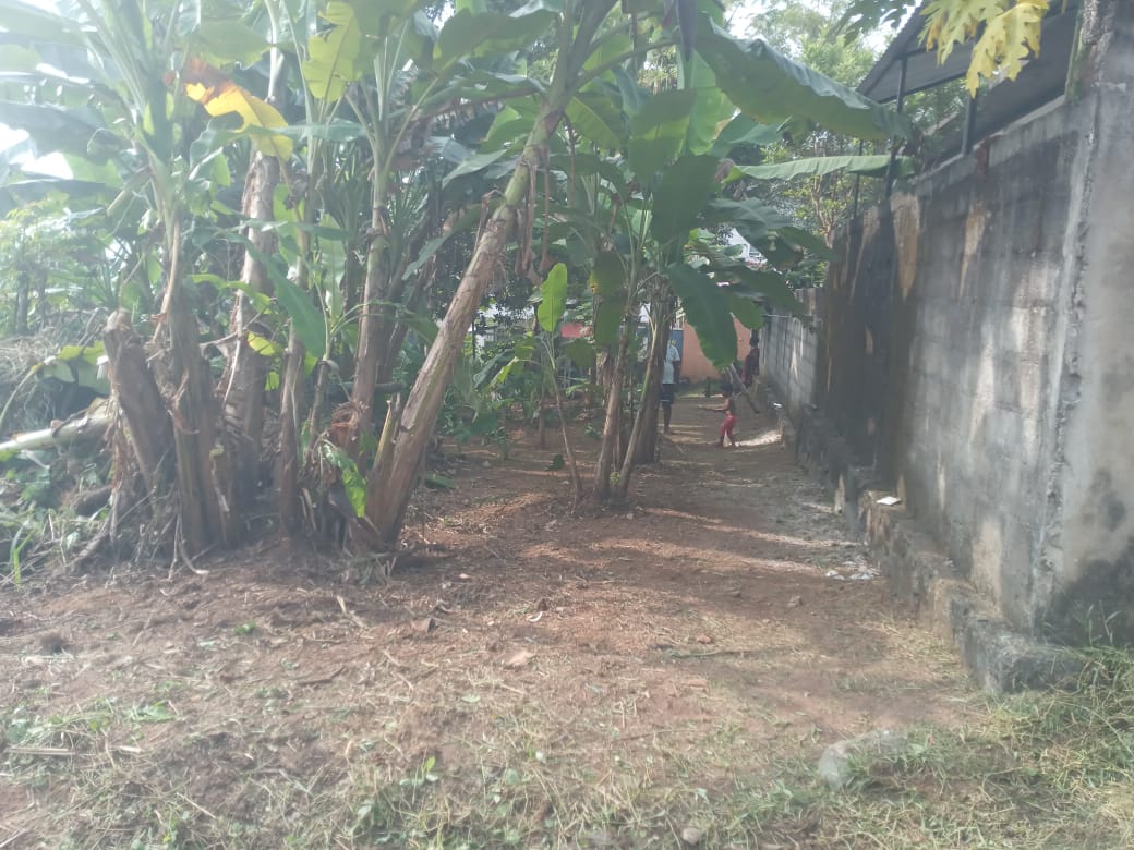 Valuable Land for Sale in Gonapola