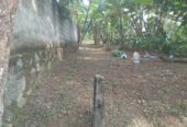 Valuable Land for Sale in Gonapola