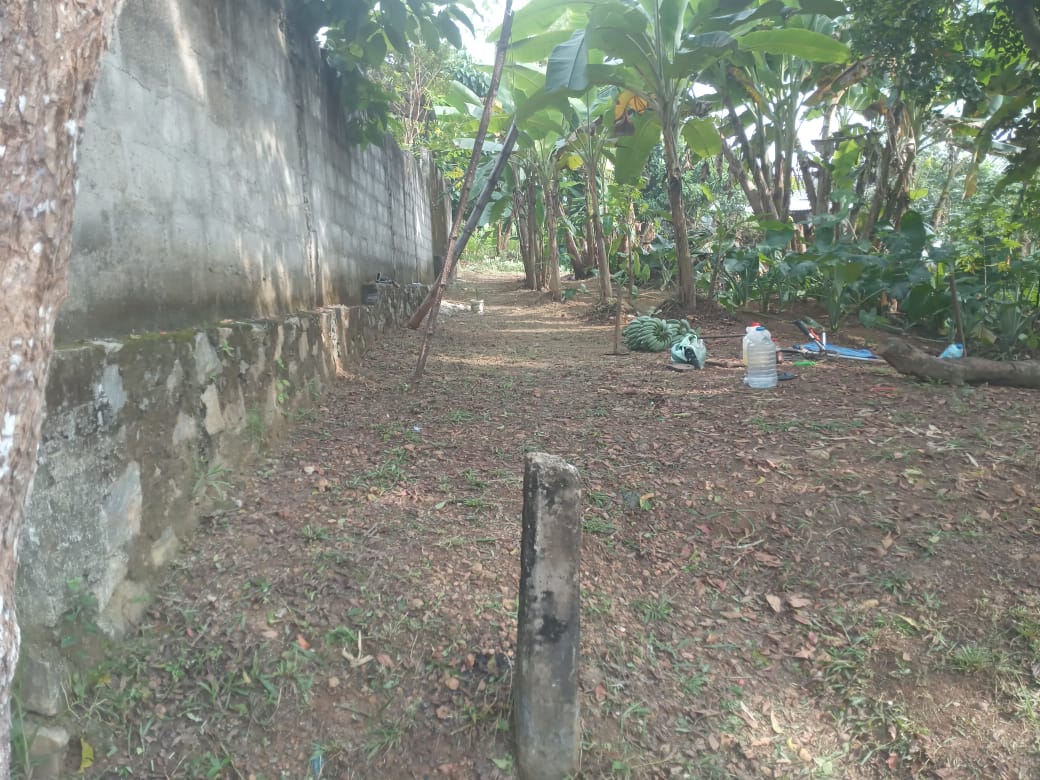 Valuable Land for Sale in Gonapola