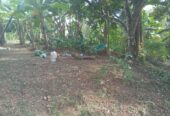 Valuable Land for Sale in Gonapola
