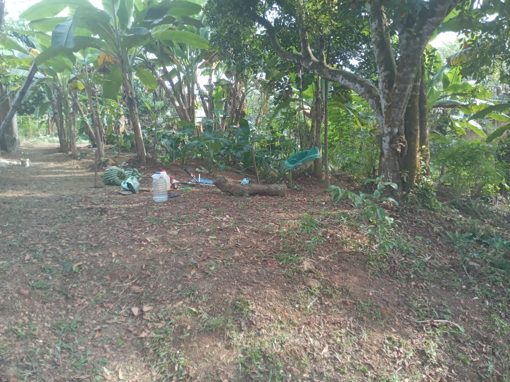 Valuable Land for Sale in Gonapola