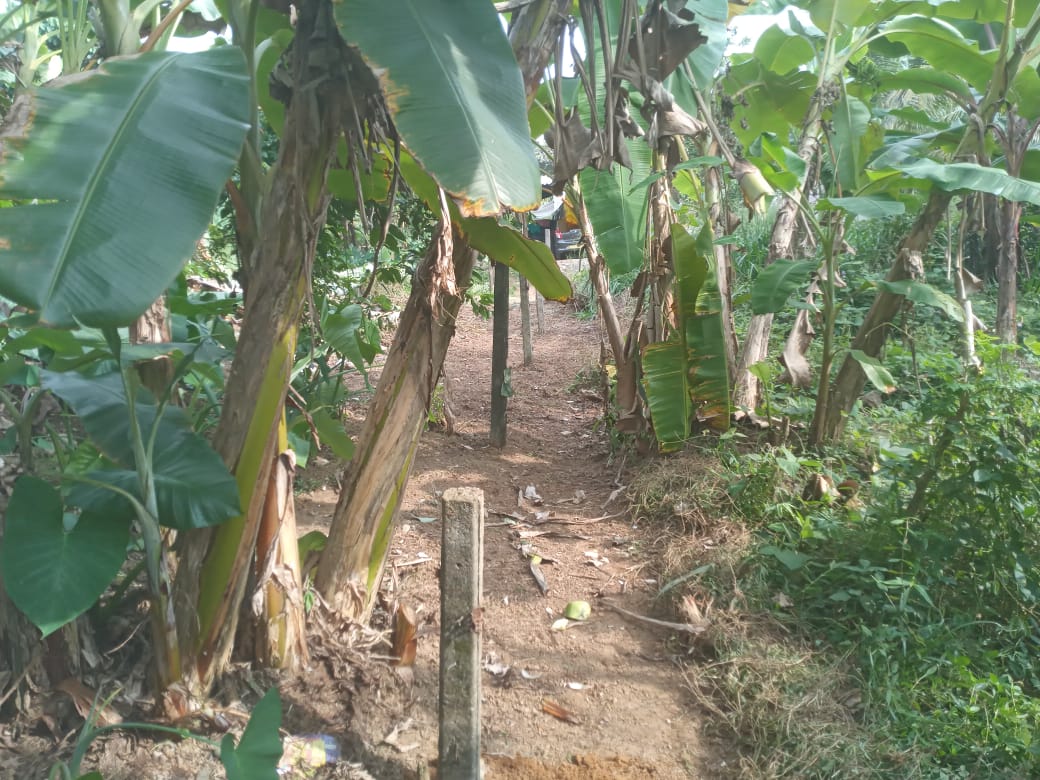 Valuable Land for Sale in Gonapola