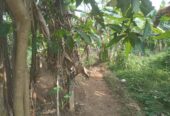 Valuable Land for Sale in Gonapola