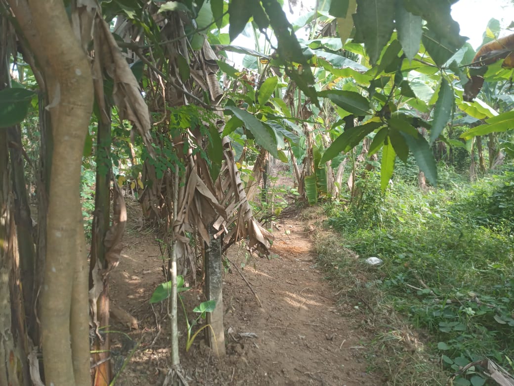 Valuable Land for Sale in Gonapola