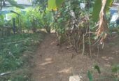 Valuable Land for Sale in Gonapola