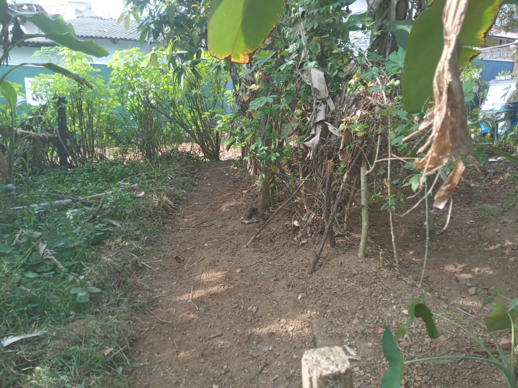 Valuable Land for Sale in Gonapola