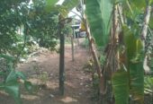 Valuable Land for Sale in Gonapola
