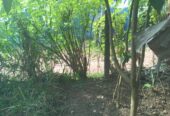 Valuable Land for Sale in Gonapola