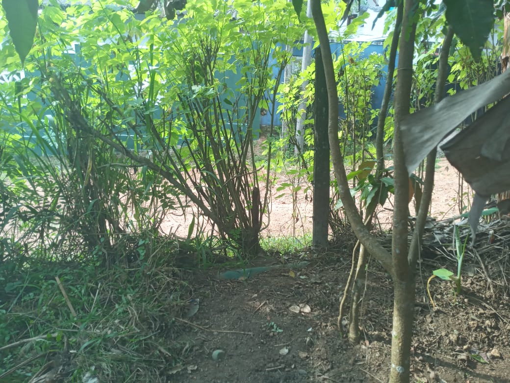 Valuable Land for Sale in Gonapola