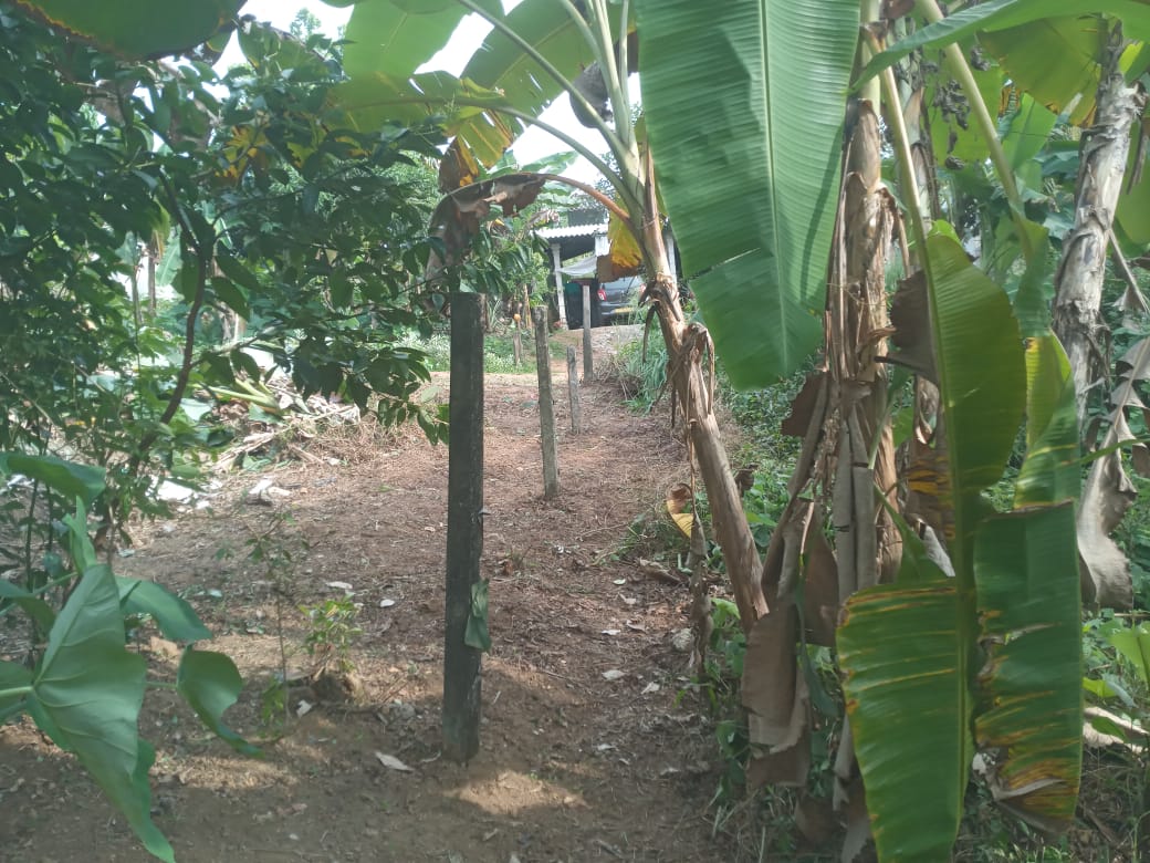 Valuable Land for Sale in Gonapola