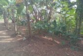 Valuable Land for Sale in Gonapola