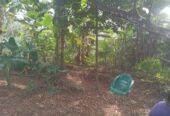 Valuable Land for Sale in Gonapola