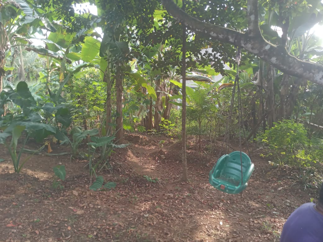 Valuable Land for Sale in Gonapola