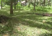 Residential Land for Sale in Padukka