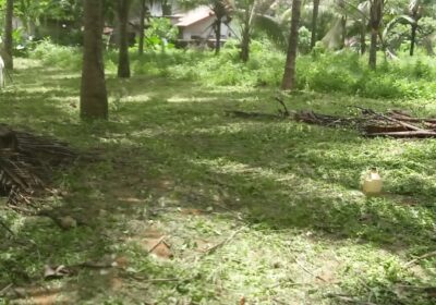 Residential Land for Sale in Padukka