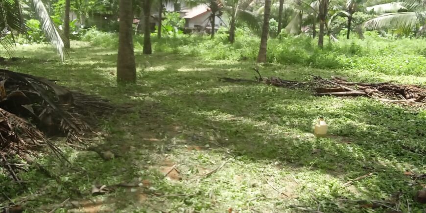 Residential Land for Sale in Padukka